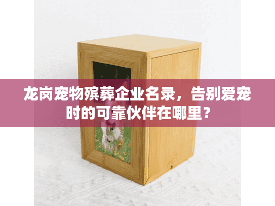 龙岗宠物殡葬企业名录,告别爱宠时的可靠伙伴在哪里? 龙岗宠物殡葬企业名录,告别爱宠时的可靠伙伴在哪里?