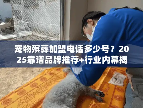 宠物殡葬加盟电话多少号？2025靠谱品牌推荐+行业内幕揭秘