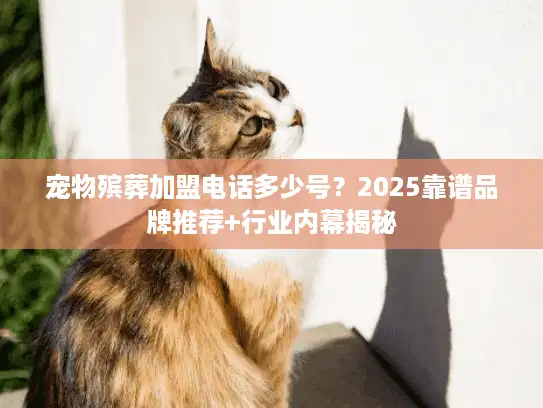 宠物殡葬加盟电话多少号？2025靠谱品牌推荐+行业内幕揭秘