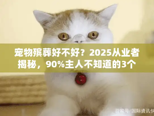 宠物殡葬好不好？2025从业者揭秘，90%主人不知道的3个隐藏价值