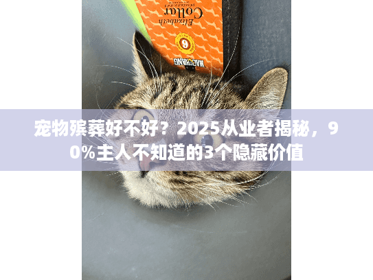 宠物殡葬好不好？2025从业者揭秘，90%主人不知道的3个隐藏价值