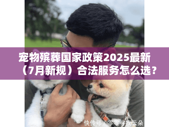 宠物殡葬国家政策2025最新（7月新规）合法服务怎么选？这3条红线别踩
