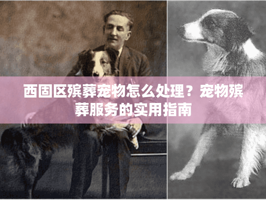 西固区殡葬宠物怎么处理？宠物殡葬服务的实用指南
