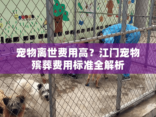 宠物离世费用高？江门宠物殡葬费用标准全解析