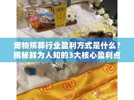 宠物殡葬行业盈利方式是什么？揭秘鲜为人知的3大核心盈利点与实战案例