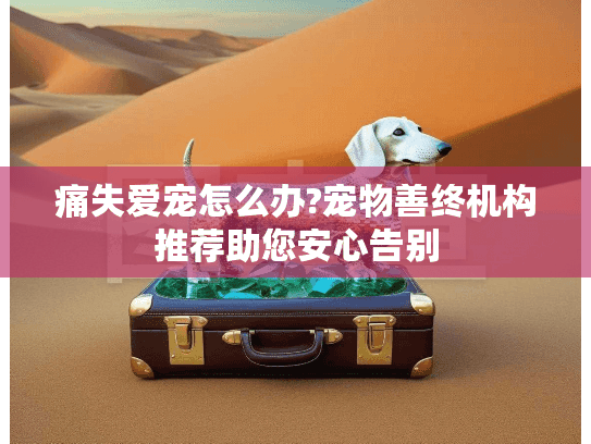 痛失爱宠怎么办?宠物善终机构推荐助您安心告别