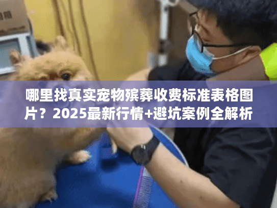 哪里找真实宠物殡葬收费标准表格图片?2025最新行情+避坑案例全解析 哪里找真实宠物殡葬收费标准表格图片?2025最新行情+避坑案例全解析