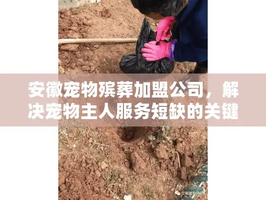 安徽宠物殡葬加盟公司，解决宠物主人服务短缺的关键机会？