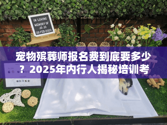 宠物殡葬师报名费到底要多少?2025年内行人揭秘培训考证费用明细 宠物殡葬师报名费到底要多少?2025年内行人揭秘培训考证费用明细