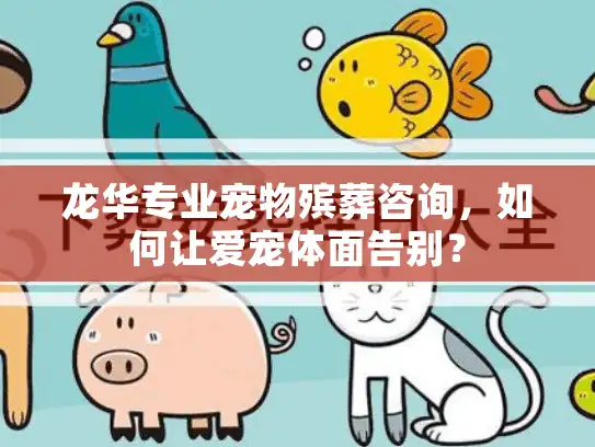 龙华专业宠物殡葬咨询，如何让爱宠体面告别？