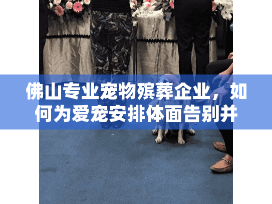 佛山专业宠物殡葬企业，如何为爱宠安排体面告别并找到可靠服务？