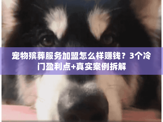宠物殡葬服务加盟怎么样赚钱？3个冷门盈利点+真实案例拆解