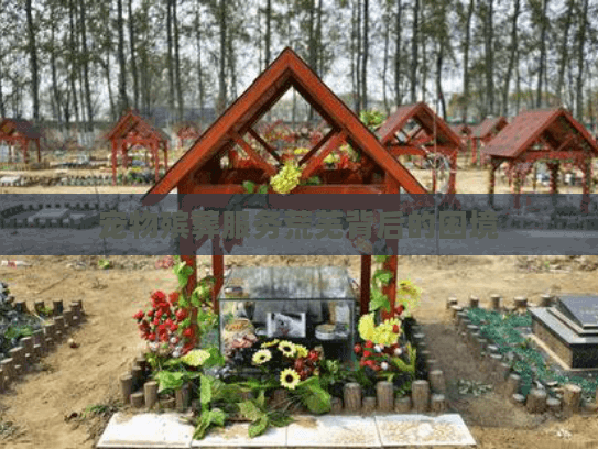 宠物殡葬服务荒芜背后的困境