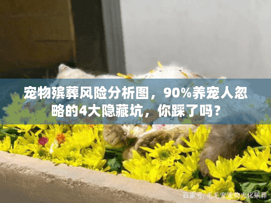 宠物殡葬风险分析图,90%养宠人忽略的4大隐藏坑,你踩了吗? 宠物殡葬风险分析图,90%养宠人忽略的4大隐藏坑,你踩了吗?