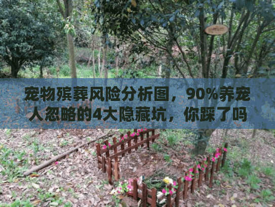 宠物殡葬风险分析图,90%养宠人忽略的4大隐藏坑,你踩了吗? 宠物殡葬风险分析图,90%养宠人忽略的4大隐藏坑,你踩了吗?