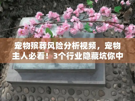 宠物殡葬风险分析视频，宠物主人必看！3个行业隐藏坑你中招了吗？