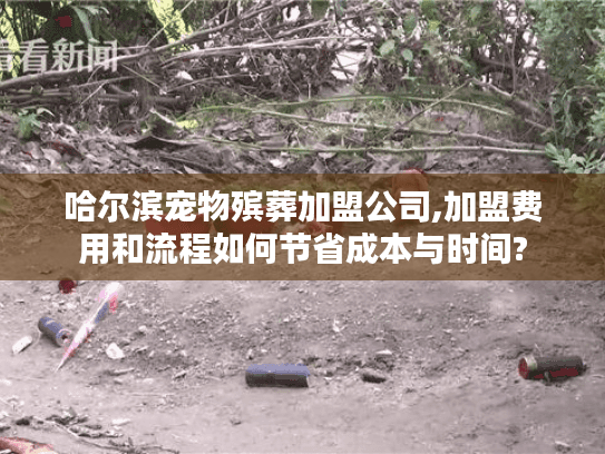 哈尔滨宠物殡葬加盟公司,加盟费用和流程如何节省成本与时间?