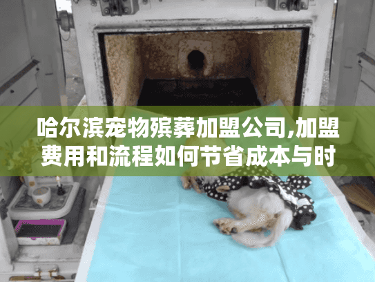 哈尔滨宠物殡葬加盟公司,加盟费用和流程如何节省成本与时间?