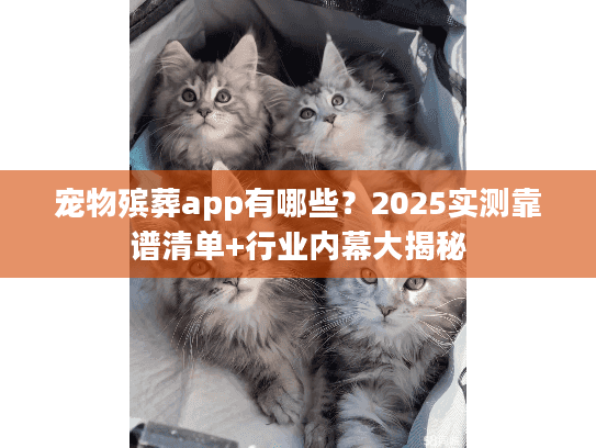 宠物殡葬app有哪些?2025实测靠谱清单+行业内幕大揭秘 宠物殡葬app有哪些?2025实测靠谱清单+行业内幕大揭秘