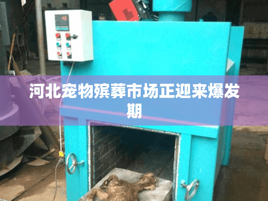 河北宠物殡葬市场正迎来爆发期 河北宠物殡葬市场正迎来爆发期