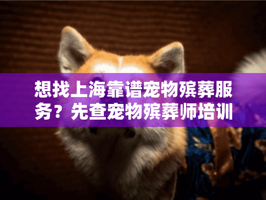 想找上海靠谱宠物殡葬服务?先查宠物殡葬师培训中心官网这3个关键信息 想找上海靠谱宠物殡葬服务?先查宠物殡葬师培训中心官网这3个关键信息