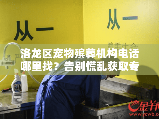 洛龙区宠物殡葬机构电话哪里找?告别慌乱获取专业善终指南 洛龙区宠物殡葬机构电话哪里找?告别慌乱获取专业善终指南