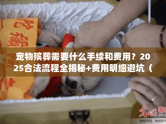 宠物殡葬需要什么手续和费用?2025合法流程全揭秘+费用明细避坑(别花冤枉钱) 宠物殡葬需要什么手续和费用?2025合法流程全揭秘+费用明细避坑(别花冤枉钱)