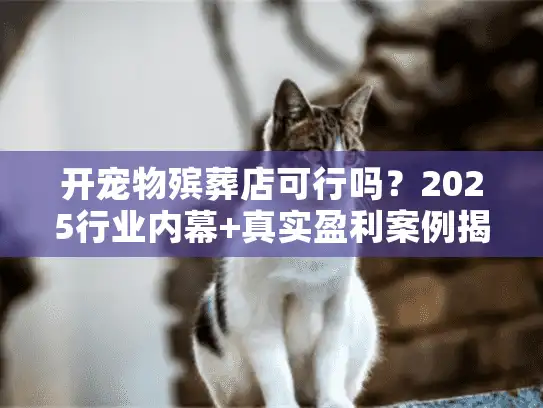 开宠物殡葬店可行吗？2025行业内幕+真实盈利案例揭秘到底赚不赚钱