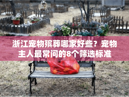 浙江宠物殡葬哪家好些？宠物主人最常问的8个筛选标准