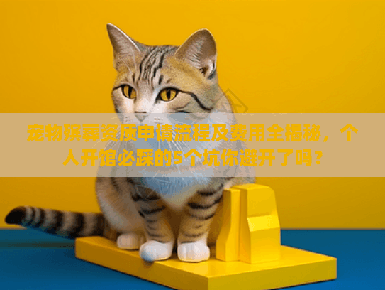 宠物殡葬资质申请流程及费用全揭秘，个人开馆必踩的5个坑你避开了吗？