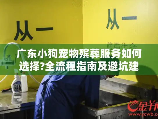 广东小狗宠物殡葬服务如何选择?全流程指南及避坑建议