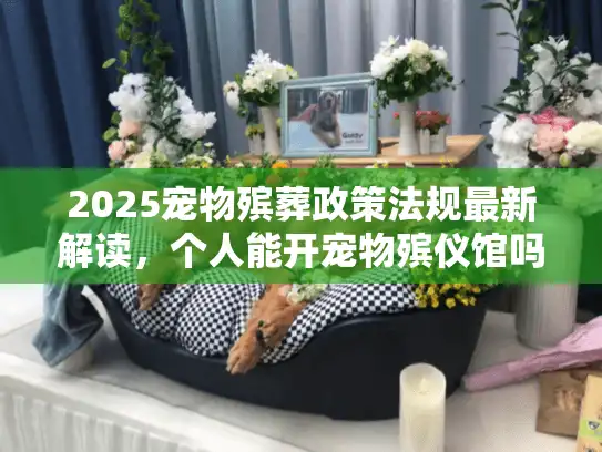 2025宠物殡葬政策法规最新解读，个人能开宠物殡仪馆吗？合规红线必须避开！