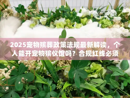 2025宠物殡葬政策法规最新解读，个人能开宠物殡仪馆吗？合规红线必须避开！