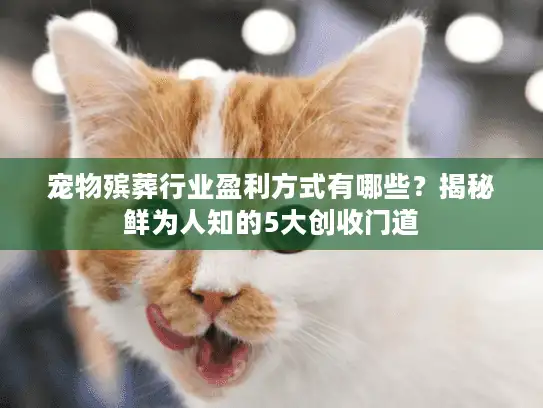 宠物殡葬行业盈利方式有哪些？揭秘鲜为人知的5大创收门道