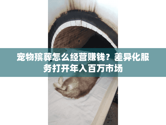 宠物殡葬怎么经营赚钱？差异化服务打开年入百万市场