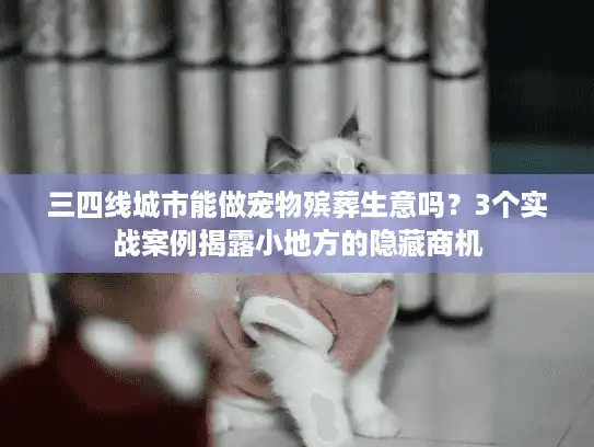 三四线城市能做宠物殡葬生意吗?3个实战案例揭露小地方的隐藏商机 三四线城市能做宠物殡葬生意吗?3个实战案例揭露小地方的隐藏商机