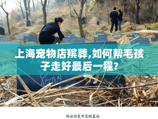 上海宠物店殡葬,如何帮毛孩子走好最后一程?