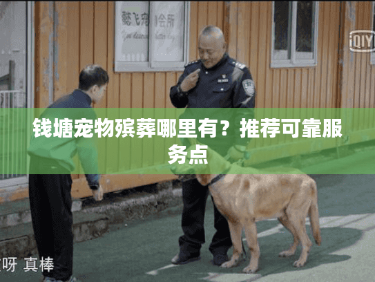 钱塘宠物殡葬哪里有？推荐可靠服务点