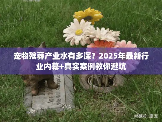 宠物殡葬产业水有多深？2025年最新行业内幕+真实案例教你避坑
