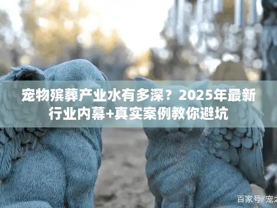 宠物殡葬产业水有多深？2025年最新行业内幕+真实案例教你避坑