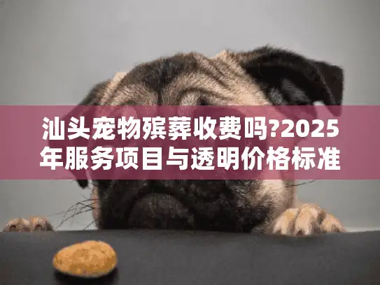 汕头宠物殡葬收费吗?2025年服务项目与透明价格标准解析