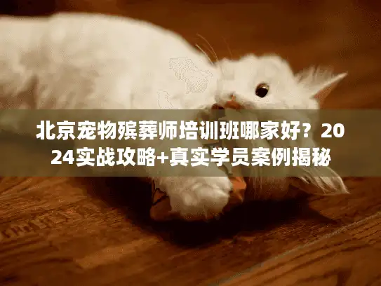 北京宠物殡葬师培训班哪家好？2024实战攻略+真实学员案例揭秘