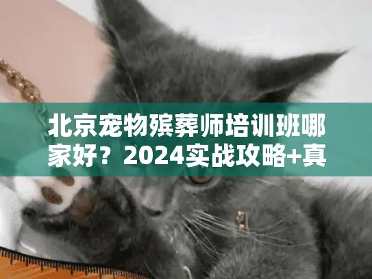 北京宠物殡葬师培训班哪家好？2024实战攻略+真实学员案例揭秘