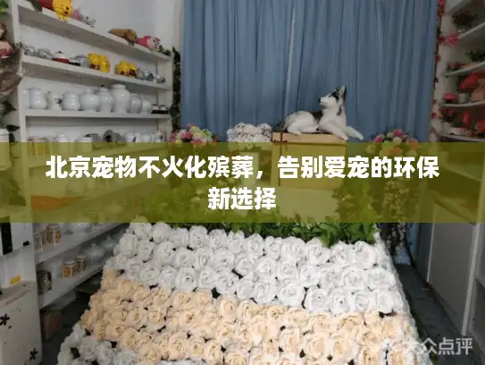 北京宠物不火化殡葬,告别爱宠的环保新选择 北京宠物不火化殡葬,告别爱宠的环保新选择