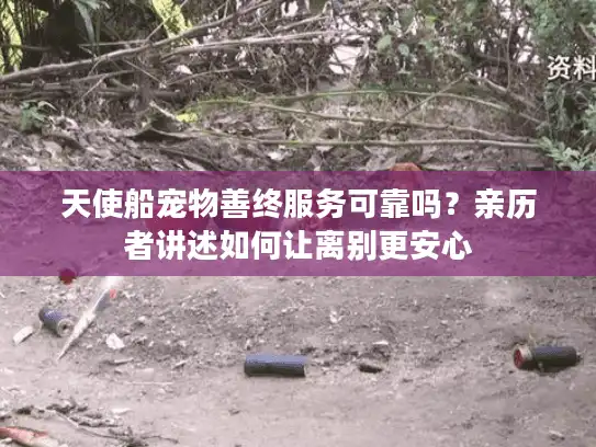 天使船宠物善终服务可靠吗?亲历者讲述如何让离别更安心 天使船宠物善终服务可靠吗?亲历者讲述如何让离别更安心