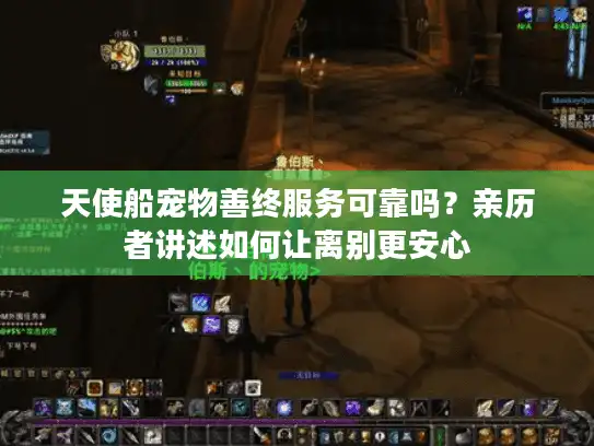 天使船宠物善终服务可靠吗?亲历者讲述如何让离别更安心 天使船宠物善终服务可靠吗?亲历者讲述如何让离别更安心