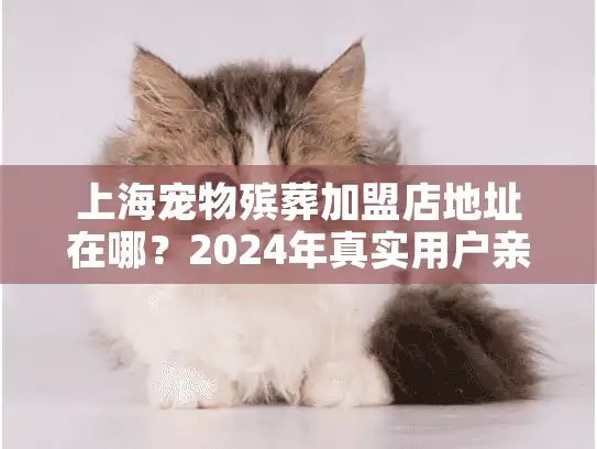 上海宠物殡葬加盟店地址在哪?2024年真实用户亲测靠谱门店全汇总 上海宠物殡葬加盟店地址在哪?2024年真实用户亲测靠谱门店全汇总