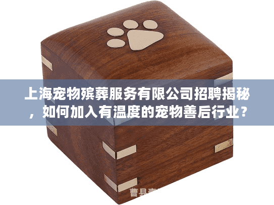 上海宠物殡葬服务有限公司招聘揭秘，如何加入有温度的宠物善后行业？
