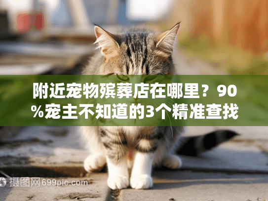 附近宠物殡葬店在哪里？90%宠主不知道的3个精准查找渠道+避坑技巧
