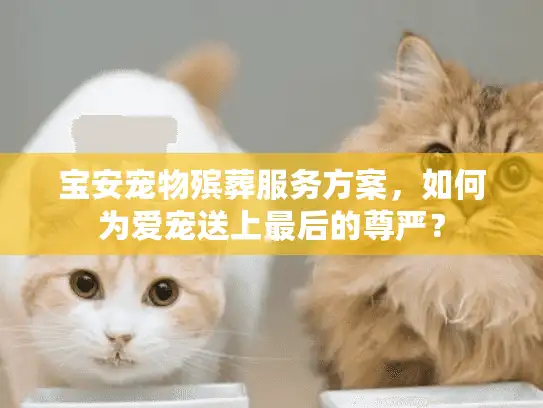 宝安宠物殡葬服务方案，如何为爱宠送上最后的尊严？